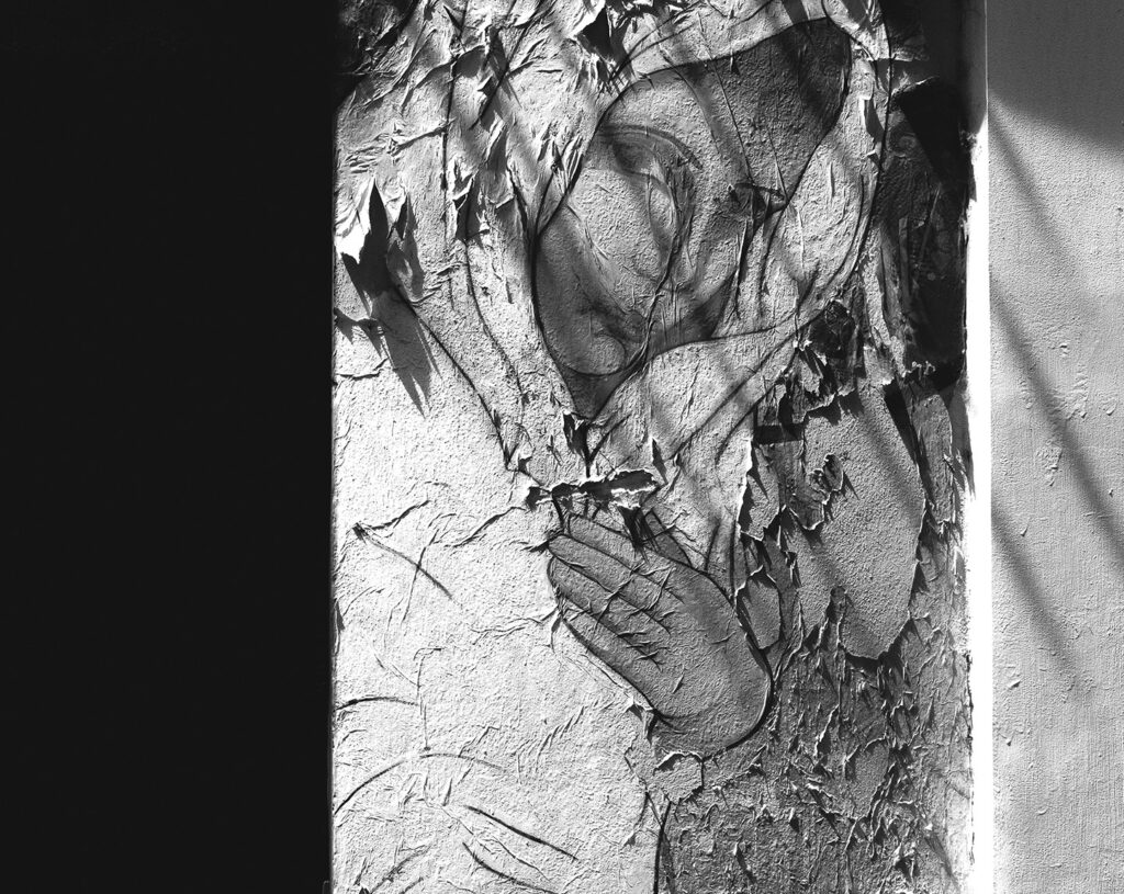 Foto: Tomáš Baršváry
