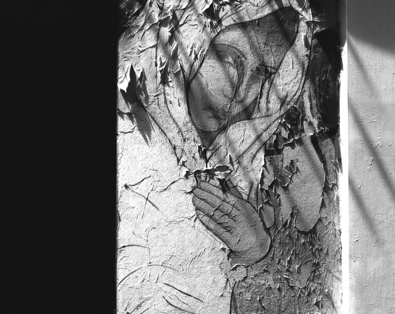 Foto: Tomáš Baršváry
