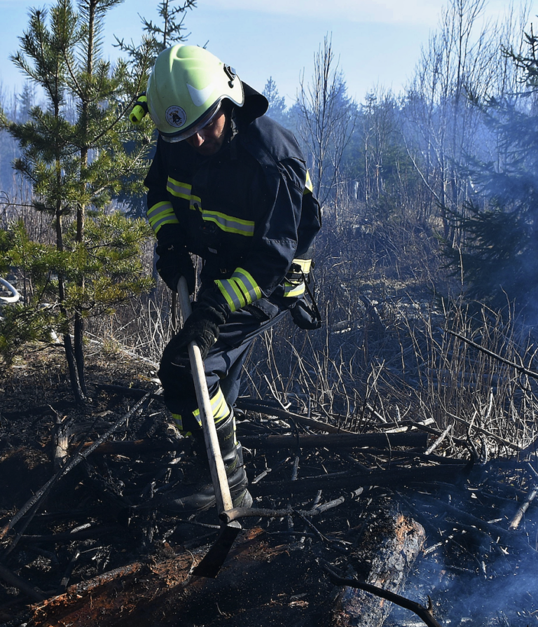 Kuffa: Lesný požiar v Tatrách podnietil plán obnovy protipožiarnych cvičení