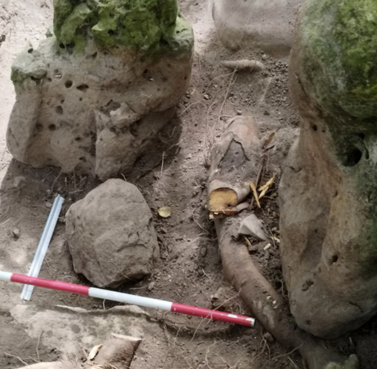 Slovenskí archeológovia objavili v Guatemale mayské mesto staré tritisíc rokov