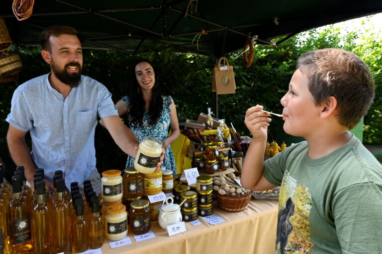 Mladý návštevník ochutnáva med od včelárov počas podujatia Včelárska nedeľa. Foto: TASR / Radovan Stoklasa