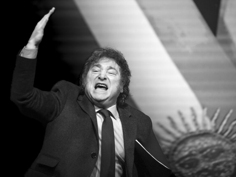 Javier Milei. Foto: Pedro H. Tesch/Getty Images 
