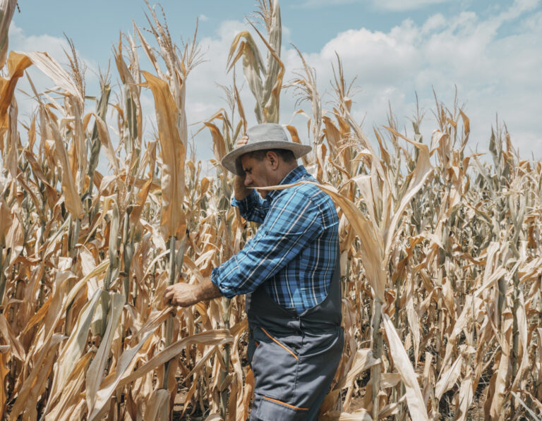 Ilustračná foto. Foto: Nes / Getty Images