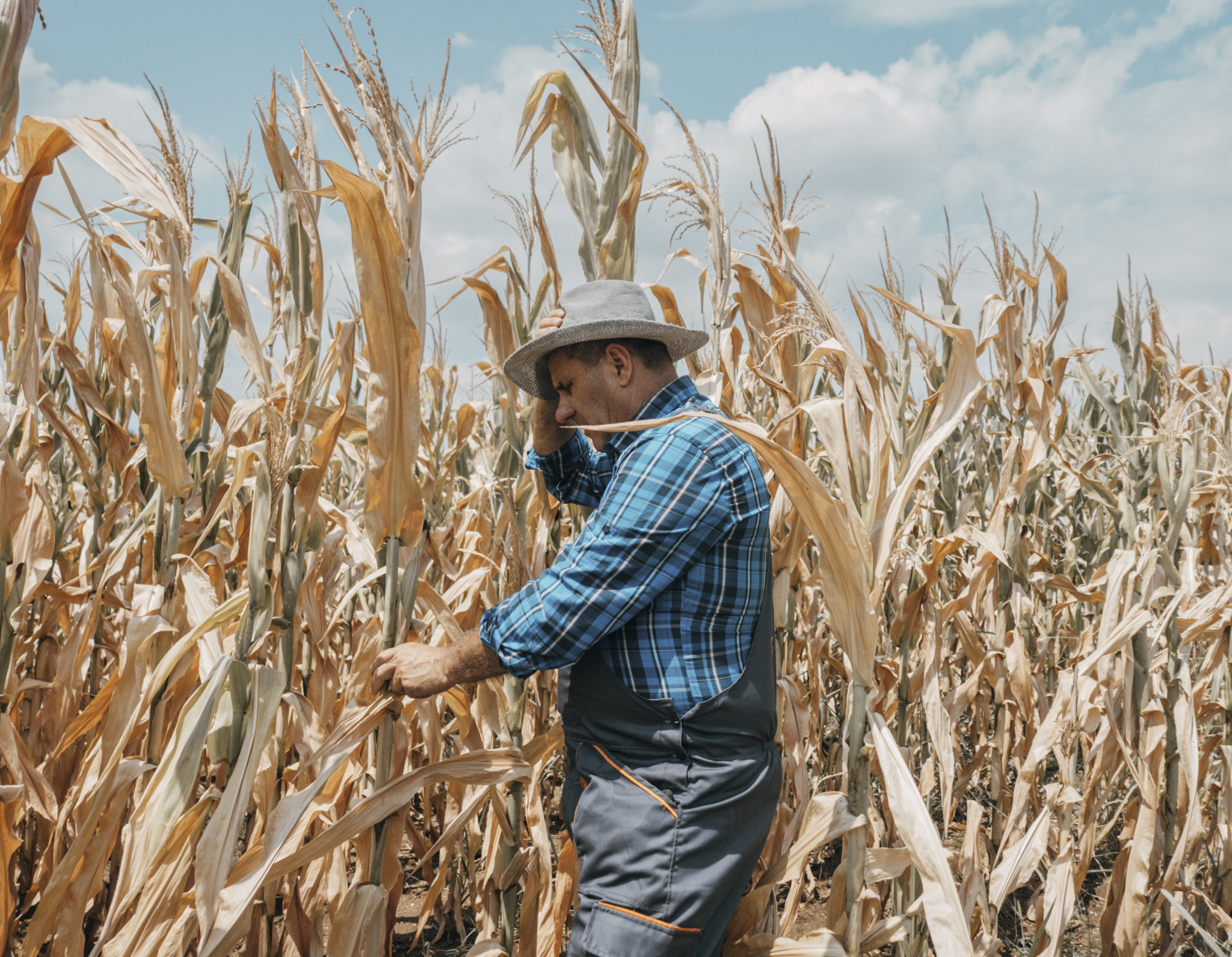 Zanedbané závlahy nestačia. Sadiť a čakať, že zaprší, je už v súčasnosti šialenstvo