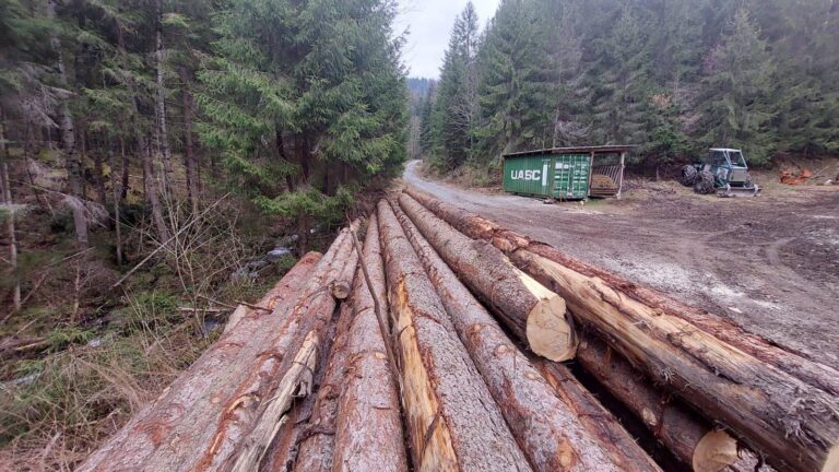 Mimovládne organizácie upozornili na spornú ťažbu dreva v lokalite Marková. Foto: FB My sme les