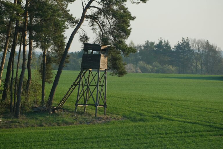 Tragédia pri poľovačke: V prípade figuruje otec poslanca Hlasu Puciho