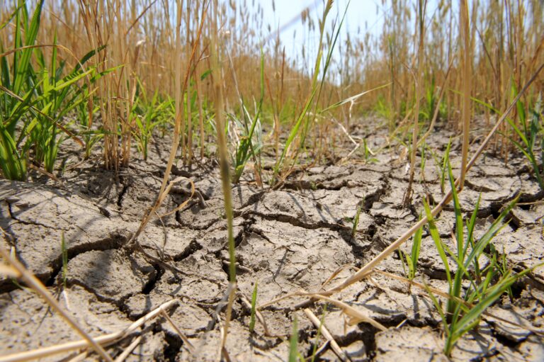 Vlahová bilancia sa prudko zhoršuje, Slovensko trápi sucho ako pred troma rokmi