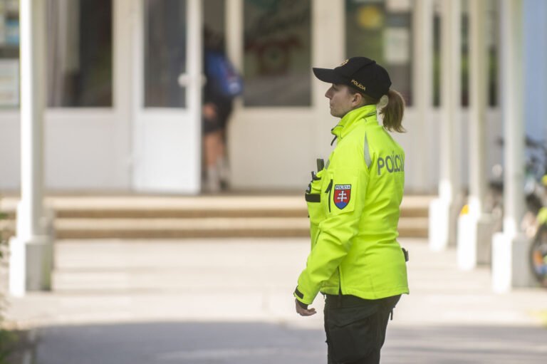 Ilustračná fotografia policajtky.