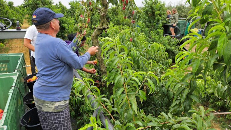 Ilustračná fotografia. Foto: Milan Drozd/TASR