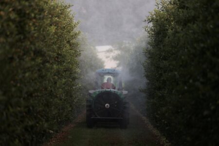 Nelegálny obchod s pesticídmi v Európe rastie, farmári šetria náklady