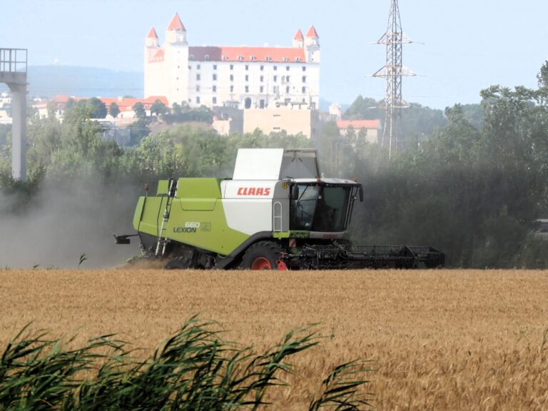 Žatva obilia pri Bratislave. Foto: Miroslav Košírer/TASR