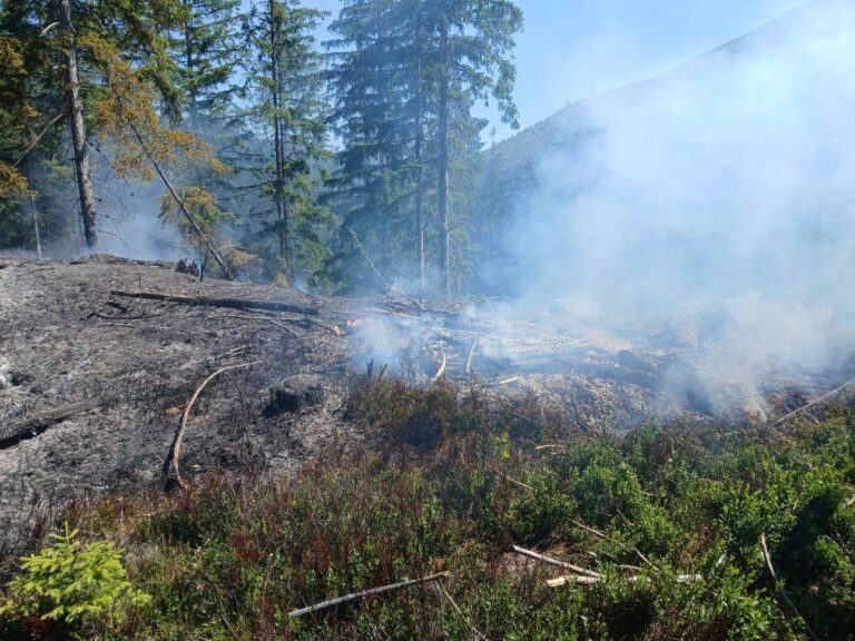 Teplomery na Slovensku atakujú štyridsiatky, hasiči sa boria s požiarom lesa