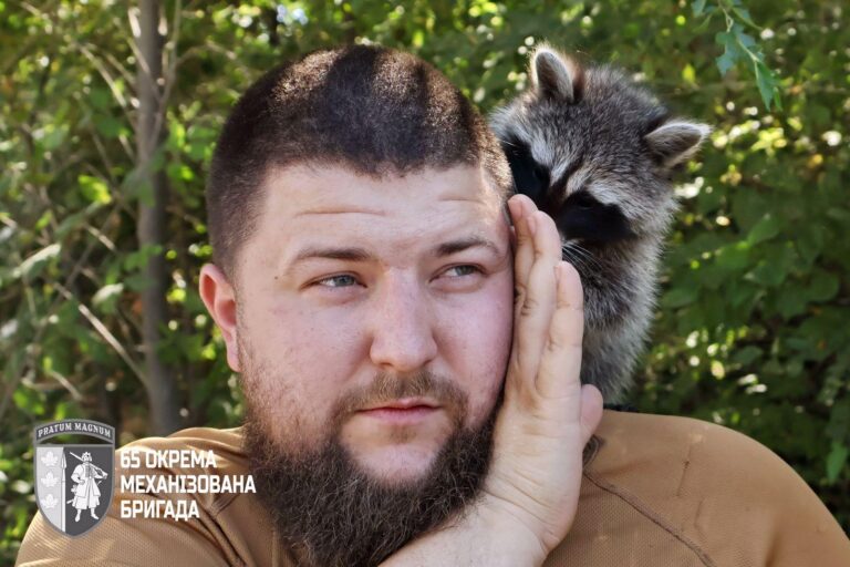 Medvedík čistotný sa stal maskotom ukrajinskej brigády