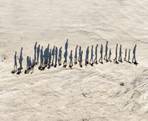 Editorial: The Century of Movement