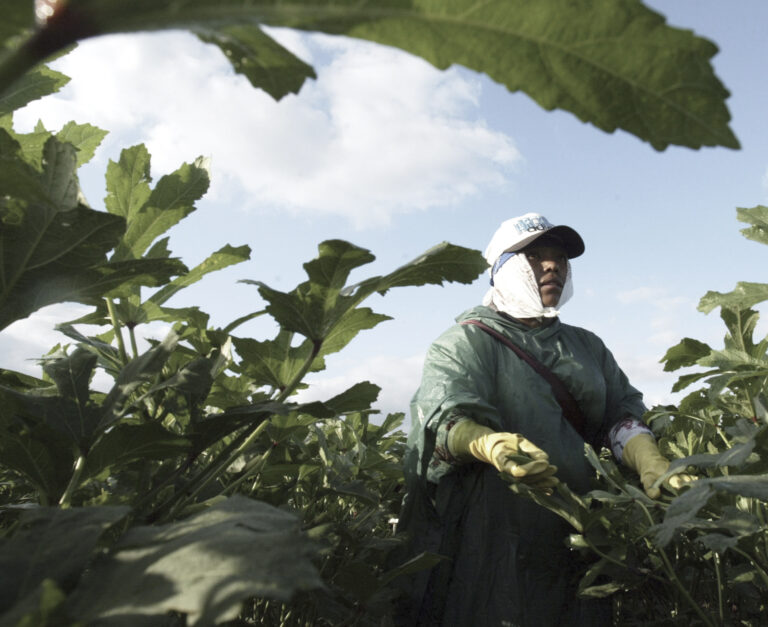 Foto: Joe Raedle/Getty Images
