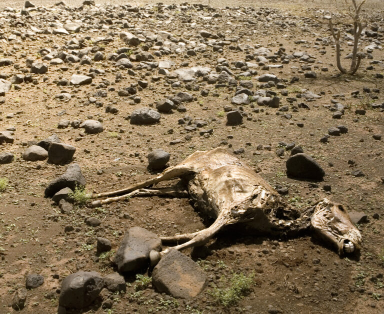 Ilustračná foto. Foto: Gideon Mendel/Corbis via Getty Images