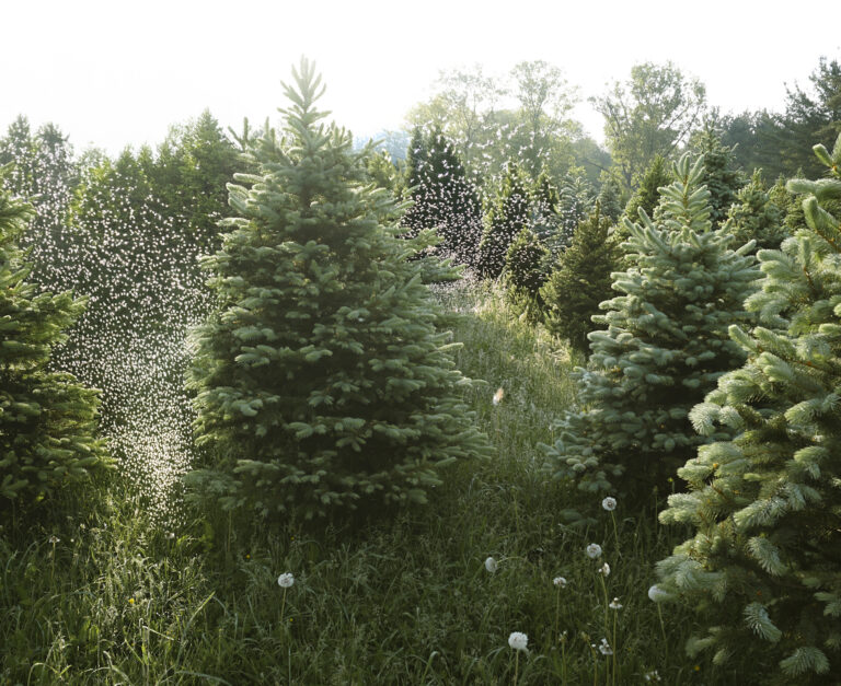 Ilustračná foto. Foto: Douglas Sacha / Getty Images