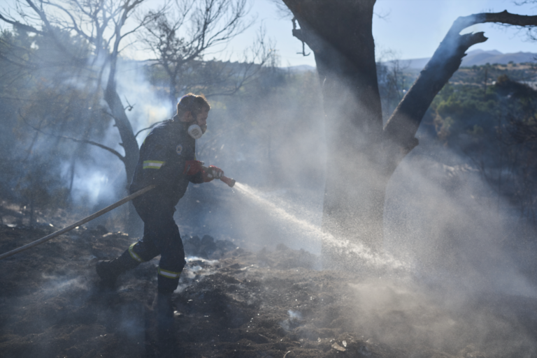 Kréta aj Izmir v plameňoch. Požiare vyhnali tisíce ľudí, haseniu bráni vietor