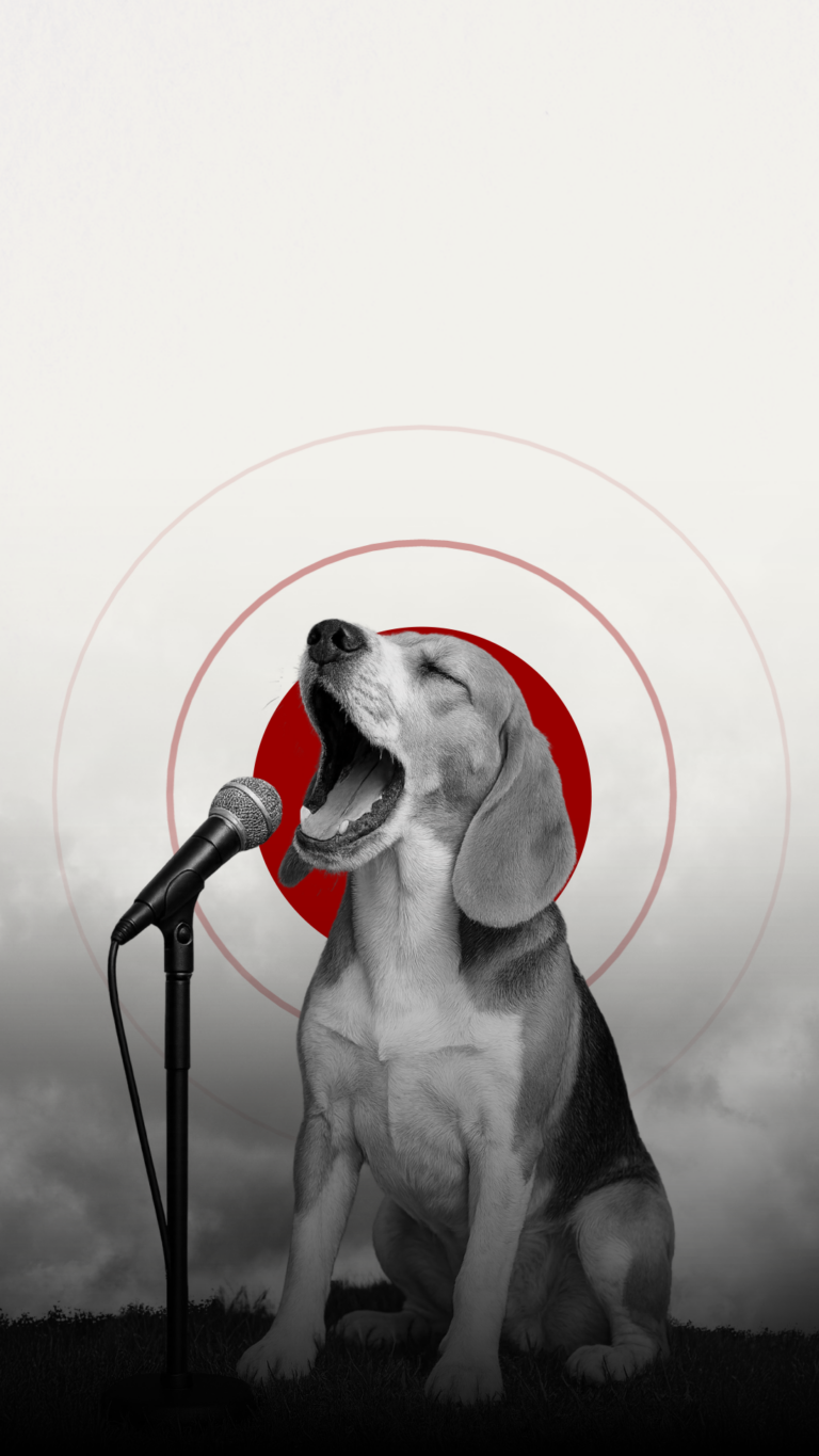 Generácia, ktorá vyrastá s technológiami, ale nerozumie im