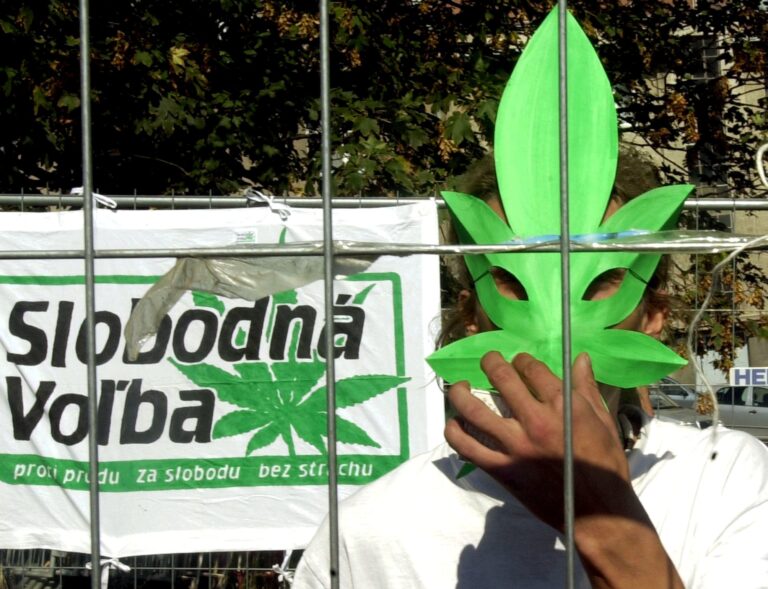 Česko mení trestnú politiku. Voľnejšia držba marihuany, prísna ochrana detí