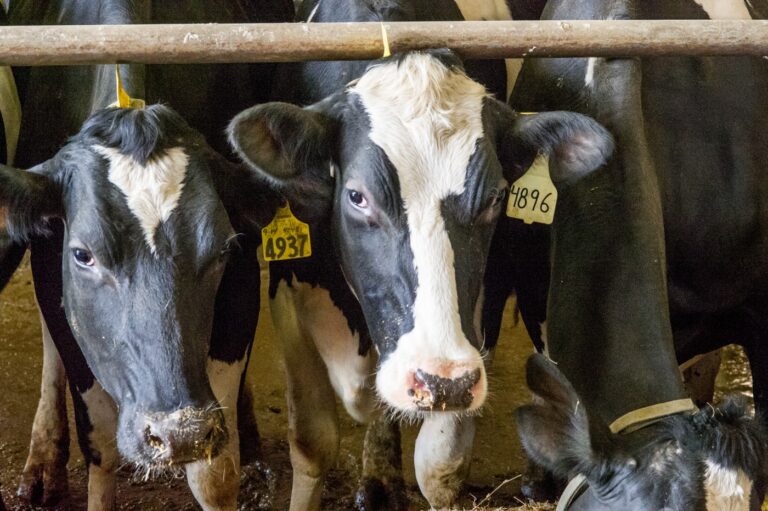 Ilustračná fotografia. Foto:  Edwin Remsberg/VWPics/Profimedia