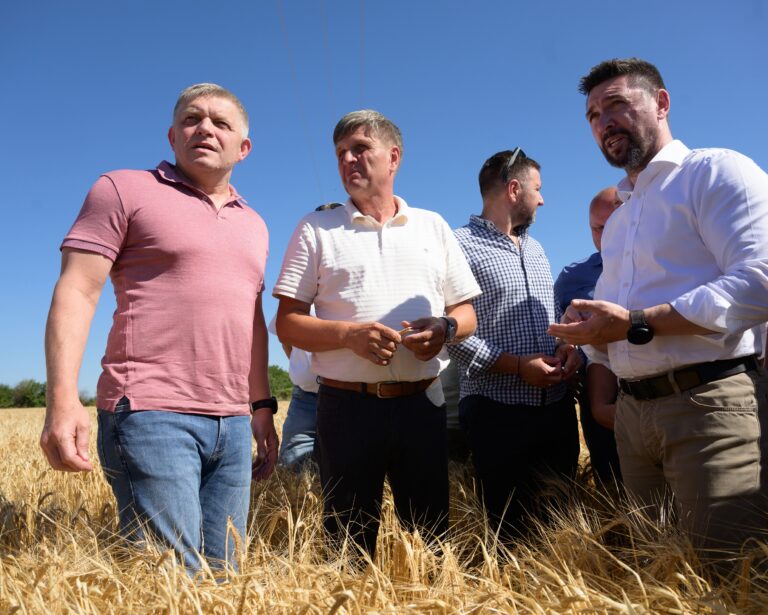 Extrémne sucho trápi slovenské polia, žatva bude len priemerná