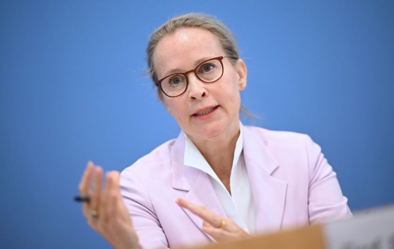 Plagiatsjäger liefert neue Indizien gegen Brosius-Gersdorf