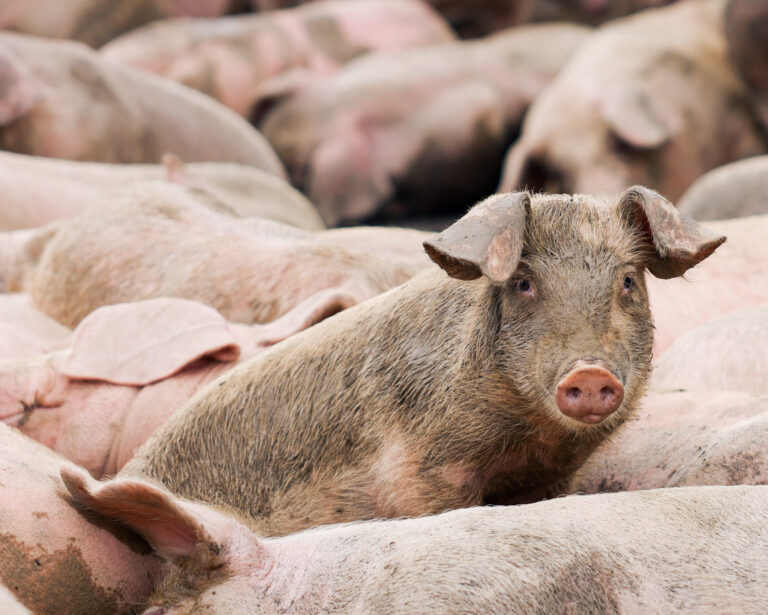 Ilustračná fotografia. Foto: Ann Wang/Reuters