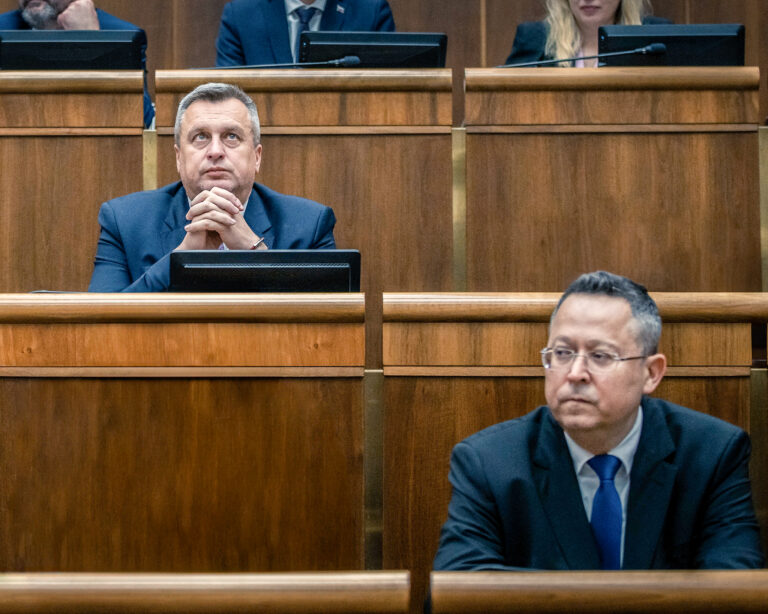 Andrej Danko (SNS) a Ladislav Kamenický (Smer). Foto: Jozef Jakubčo / Petit Press / Profimedia