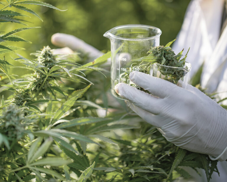 Ilustračná foto. Foto: CasarsaGuru / Getty Images 