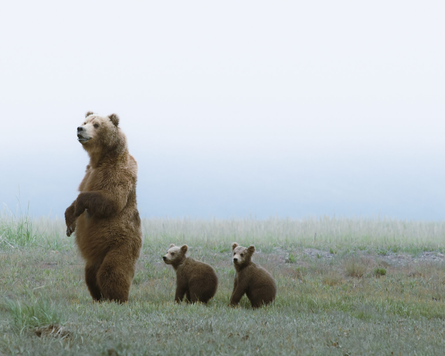 Foto: Getty Images
