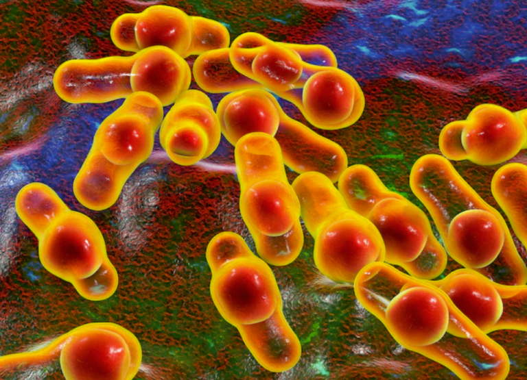 Foto: Getty Images/Science