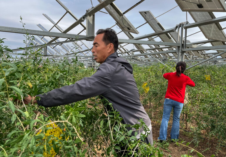 Solárne panely ako nová zbraň Číny v boji proti púšťam