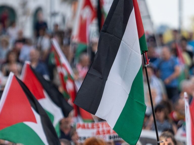 Nur 3000 Demonstranten bei Pro-Palästina-Protest in Wien