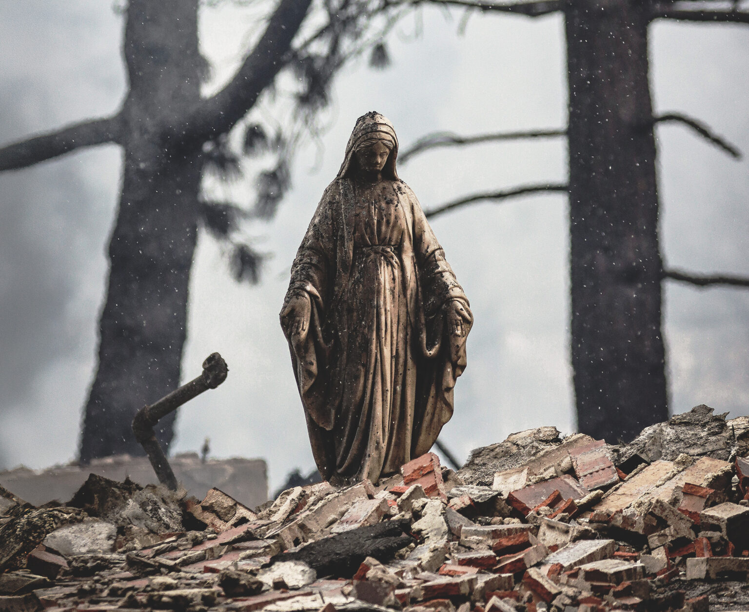 Foto: Jeff J Mitchell/Getty Images