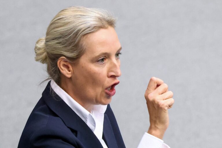 Merkel: AfD divides society and violates the spirit of the Basic Law