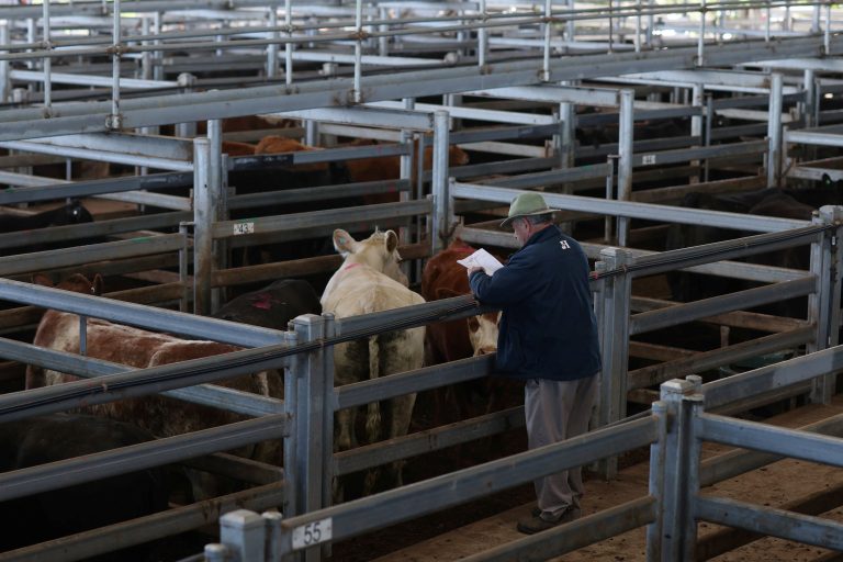 Grécko rieši rozsiahly podvod s poľnohospodárskymi dotáciami z EÚ