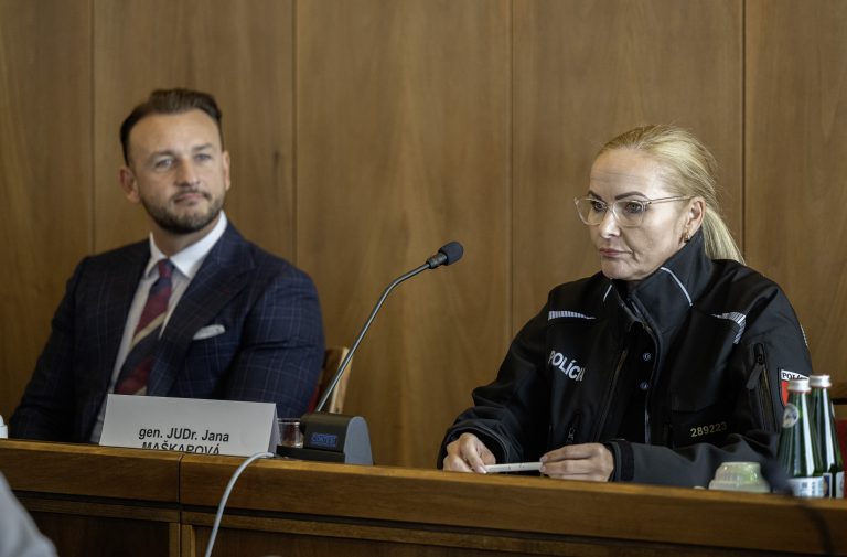 Parlamentný výbor vypočul Maškarovú, minister ju môže riadne vymenovať