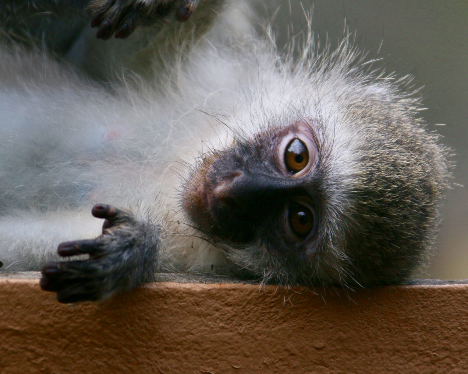 Photo: Juergen Sennert/Getty Images