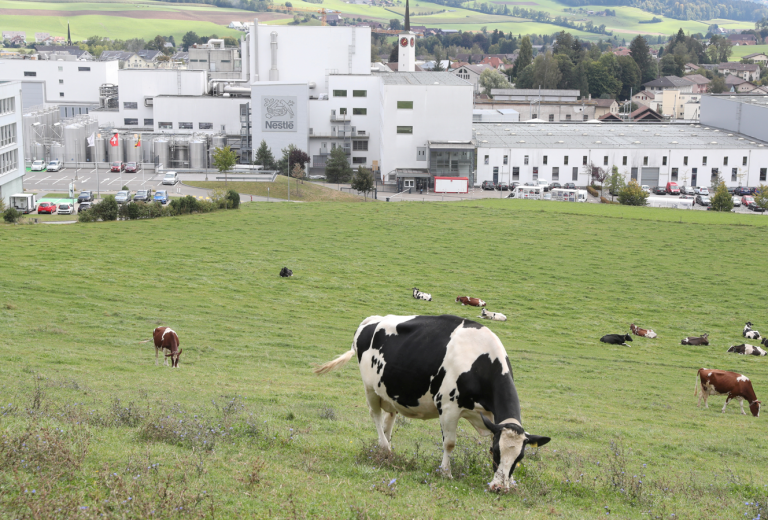 Francúzsko pre nákazlivý vírus zastavilo vývoz dobytka