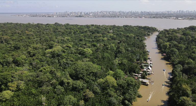 Odlesňovanie v brazílskej časti Amazónie kleslo medziročne o 11 percent