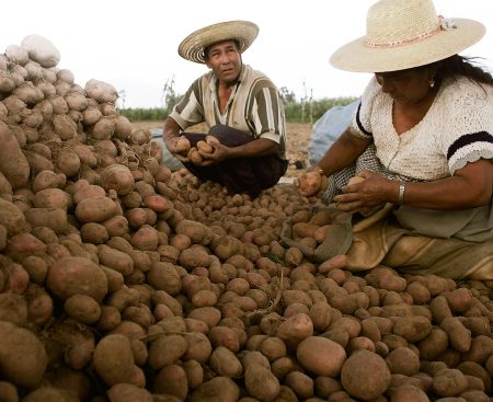 Poľnohospodári: Odmietame liberalizáciu obchodu za cenu zničenia vlastného agropotravinárstva