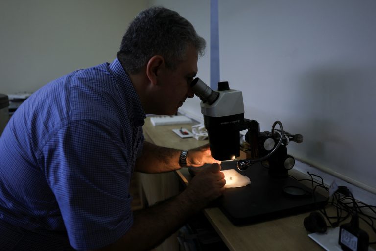 British scientists do not recommend universal prostate cancer screening