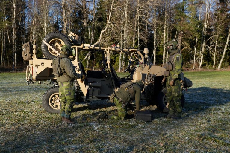 Schweden will Raketen, die Ziele auf russischem Gebiet treffen könnten