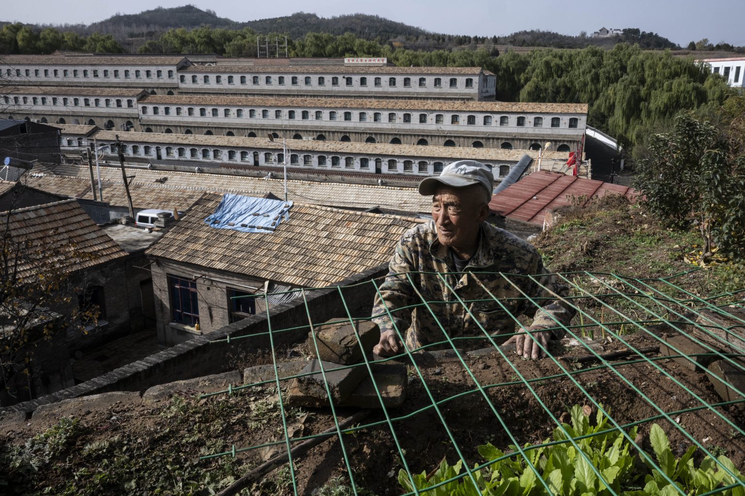 Jia Tianlian sa stará o svoj malý pozemok v Dazhai, dedine na severe Číny, ktorú Mao Ce-tung kedysi označil za vzor pre celú krajinu. V pozadí sú obytné budovy z „ľudovej komúny“ tej doby. Foto: Gilles Sabrié/New York Times