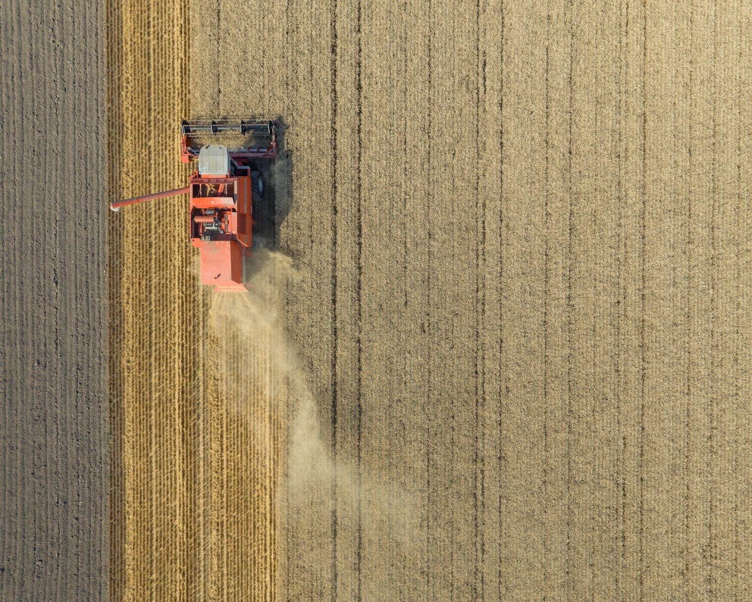 Ilustračná fotografia. Foto: Sjoerd van der Wal/Getty Images