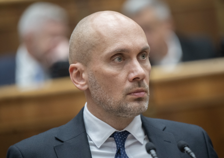 Poplatky za plyn narastú, SaS chce zásah Bruselu