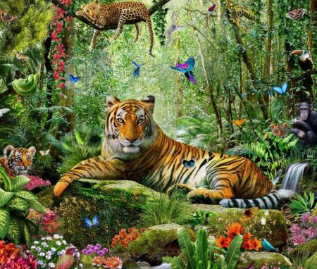 US-Studie: Kein Beweis, dass der Klimawandel ein Artensterben verschuldet