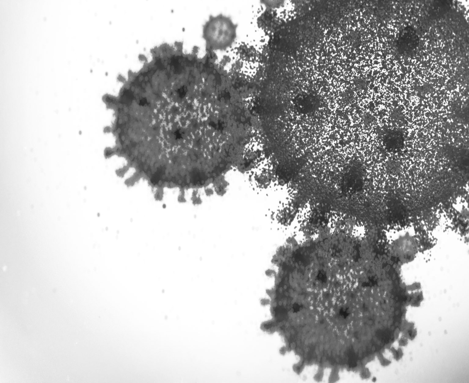 Illustrative photo. Photo: Yuichiro Chino / Getty Images