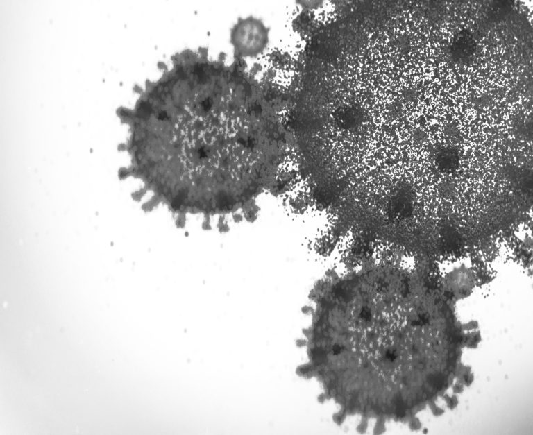 Illustrative photo. Photo: Yuichiro Chino / Getty Images